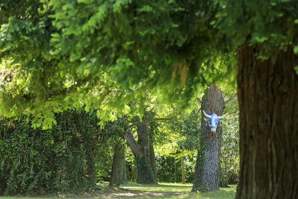 Les Gîtes du Domaine de Rhodes Avignon Extérieur photo
