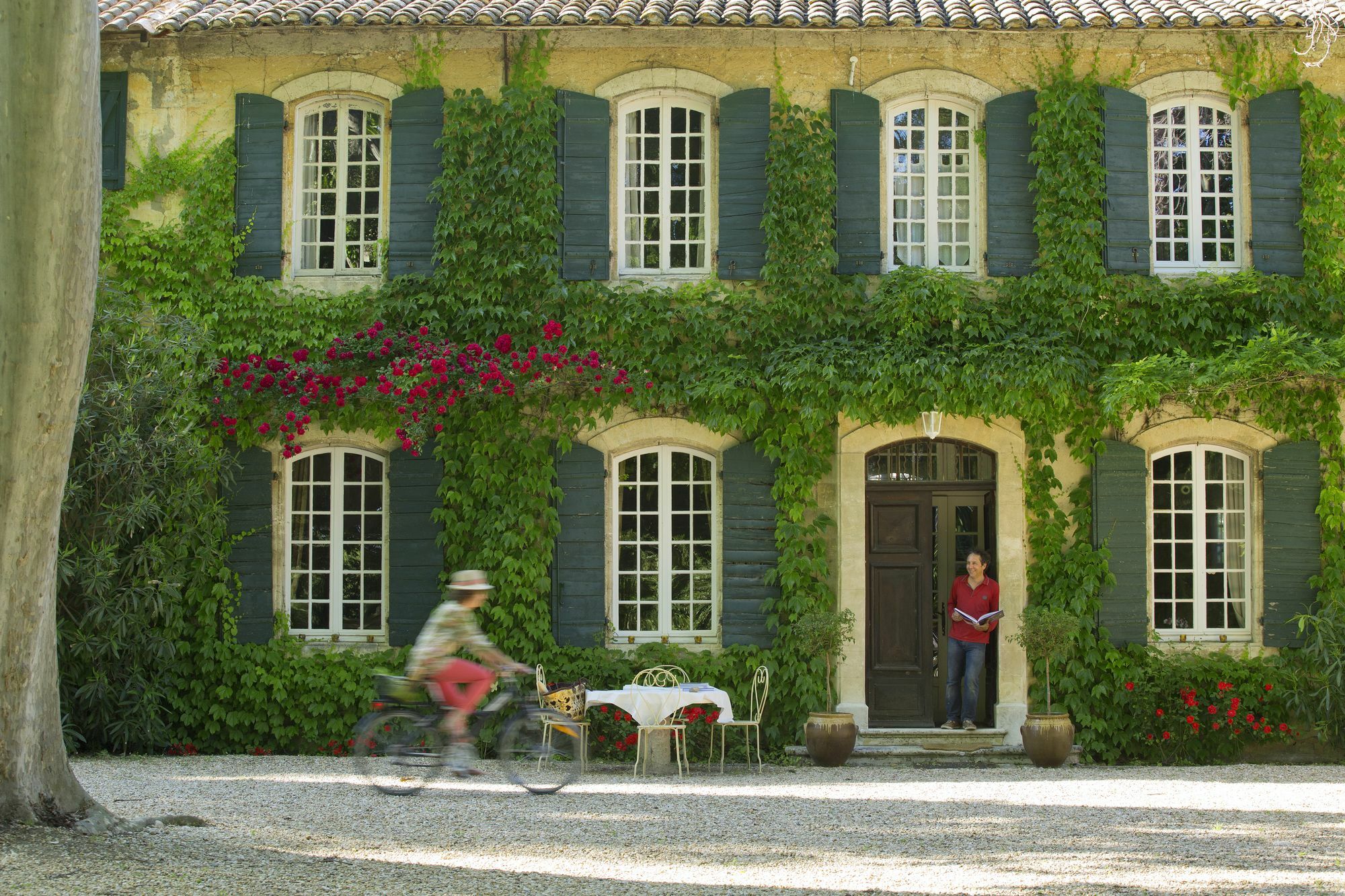Les Gîtes du Domaine de Rhodes Avignon Extérieur photo